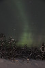aurora(51)_s.jpg